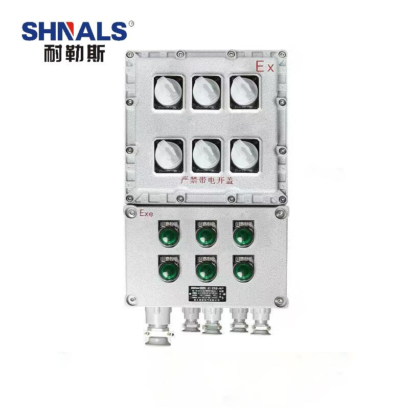 SHNALS 防爆电源箱配电箱六回路/3位2P 16A/3位3P 32A NLS-6363