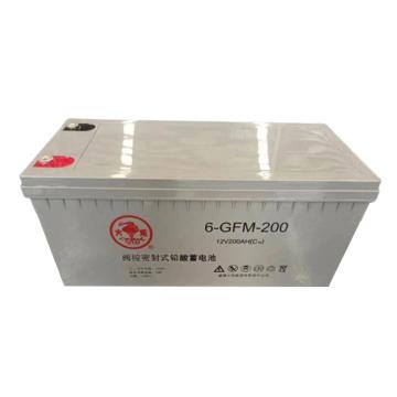 火炬 12V系列阀控式密封铅酸蓄电池 12V/200Ah(如需配线提前沟通) 6-GFM-200
