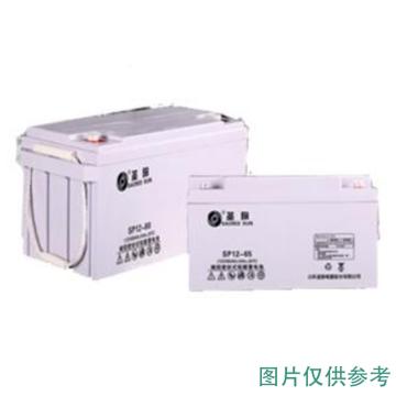 圣阳 阀控式密封铅酸蓄电池12V/24AH(如需配线提前沟通) SP12-24AH