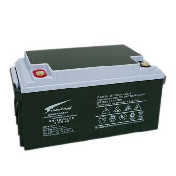 阳光赛能 蓄电池65AH，12V(如需配线提前沟通) 6-GFM-65