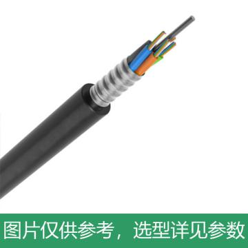 海乐 96芯单模室外光缆层绞式GYTS-96b1 铠装光缆光纤100米 多买整条发货 HT210-96SC