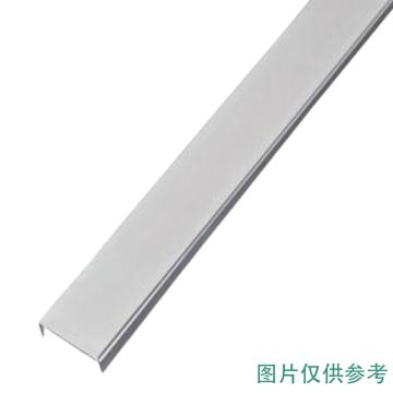 DELIXI/德力西 15mm宽线槽盖银灰色 正料2米 PXC15GSGZD