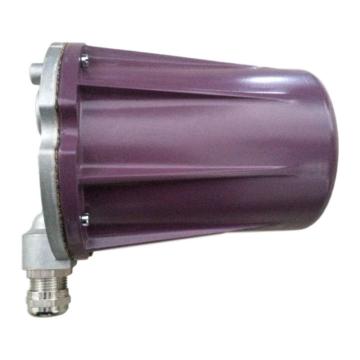 honeywell 火焰探测器 C7061A1020