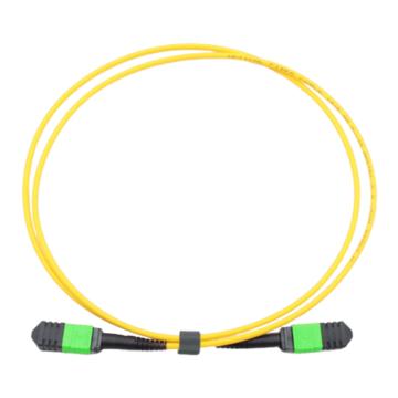 厚创 12芯MPO光纤线 母头APC-母头APC 单模G.657A1标损B极性 2米 21207SMB