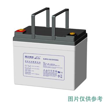 理士 AGM系列阀控式密封铅酸蓄电池(如需配线提前沟通) DJW12-9.0