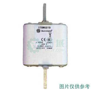巴斯曼 高速方体熔断器 170M6810