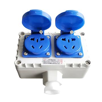 AYUFB 防爆插座125*755*55mm，圆方孔，铝合金，通头G3/4，220V，10A GTZ-10A-10,双联10孔