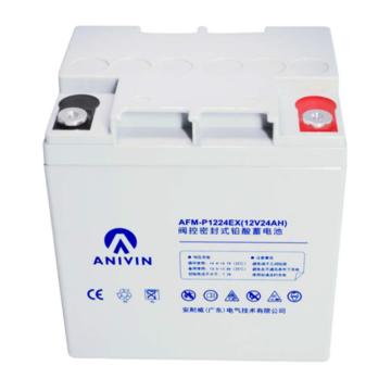 安耐威 阀控密封式免维护铅酸蓄电池12V24AH AFM-P1224EX
