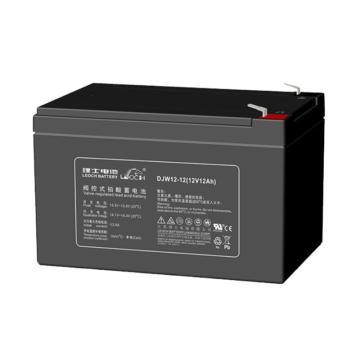理士 AGM系列阀控式密封铅酸蓄电池(如需配线提前沟通) DJW12-12
