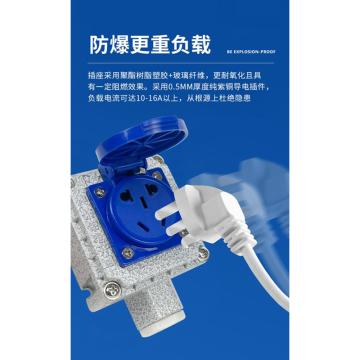 安宇防爆 防爆插座 GTZ-10A-5