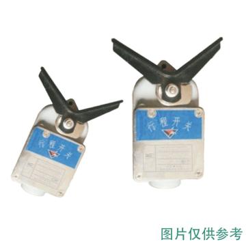 维斯尼曼 WS系列限位开关 WSBC-3601