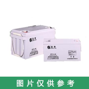 圣阳 阀控式密封铅酸蓄电池12V/26AH(如需配线提前沟通) SP12-26AH