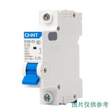 正泰 微型断路器NXB-63H 1P 2A C型 NXB-63H 1P C2 10kA