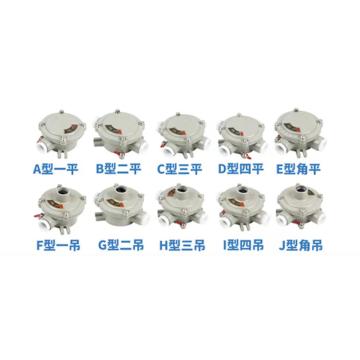 辽河 防爆接线盒CH-G1-B二平 灰色 CH-2-1二平