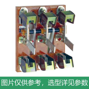 DELIXI/德力西 HS11双投刀形转换隔离器HS11-100/38 胶板 HS1110038J