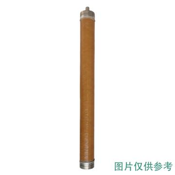 陕西振力 高压熔断器熔芯 欧变 XRNT3A-40.5KV/40A/S-H-31.5KA欧变