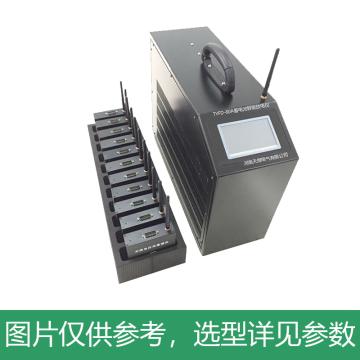 腾亚 蓄电池智能放电仪 TYFD-80A-110220