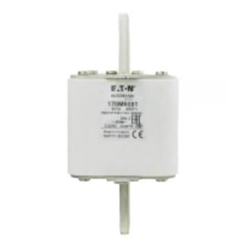 巴斯曼 高速方体熔断器 170M6081