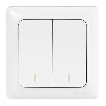 施耐德 双开双控开关 A3E32_2A