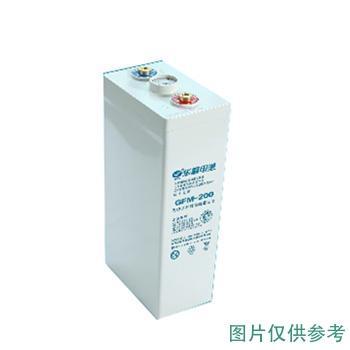 徽富 阀控式铅酸蓄电池(如需配线提前沟通) GFM-200