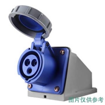 DELIXI/德力西 工业明装插座DEP2-1132 IP67 16A 3芯 250V DHADEP21132U