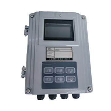 维斯尼曼 WS系列皮带地址码综合控制仪 WS-DZH-800B