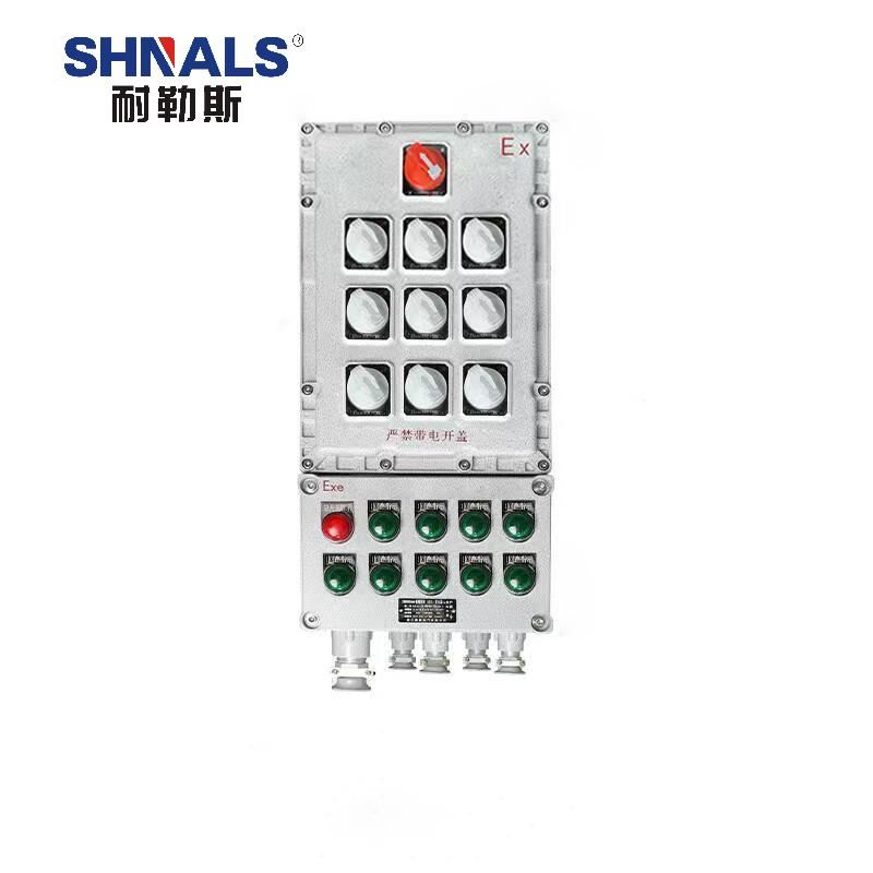 SHNALS 防爆电源箱配电箱总开关2P 80A+九回路/9位2P 16A NLS-80916