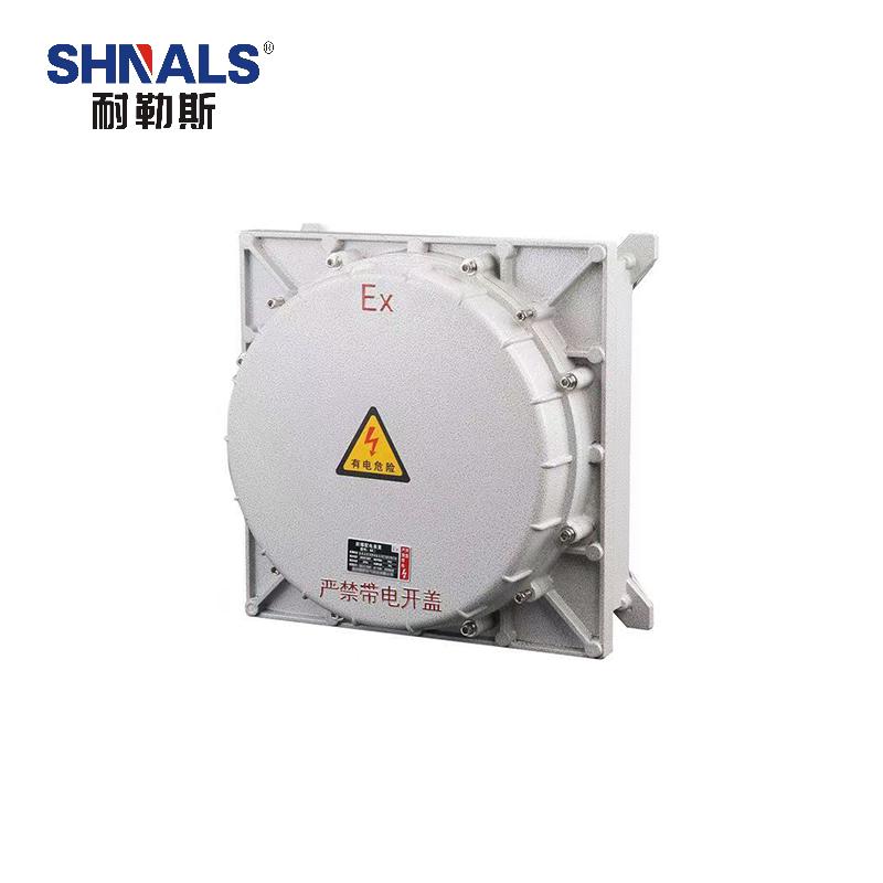 SHNALS 防爆配电箱可定制开孔 BX-Y200*200*150