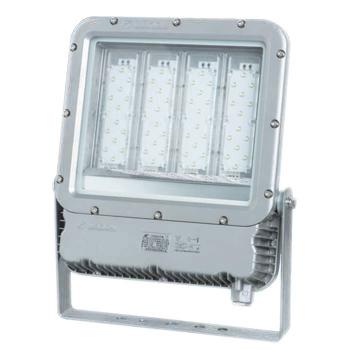 WAROM/华荣 LED投光(泛光）灯发光角度90°，白光5000K RLEFL319-XL200A5，200W