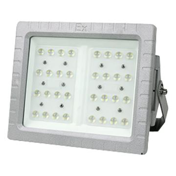 源本技术 LED防爆灯白光，侧壁式安装，含U型支架 GF8820-100W