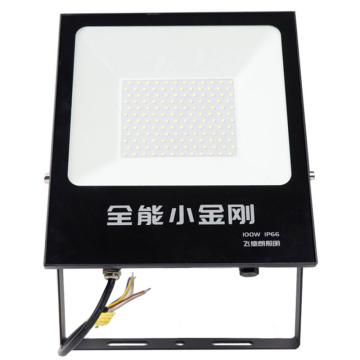 飞德朗 小金刚投光灯 FDL-QNXJGFGD-50W，白光，含U型支架