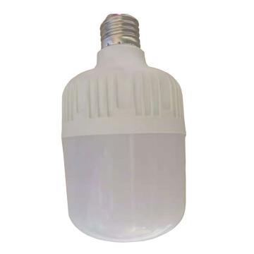 金达 LED低压灯泡，高18cm，直径10cm，白光(12V 24V 36V通用) 输入电压DC12-90V，30W E27