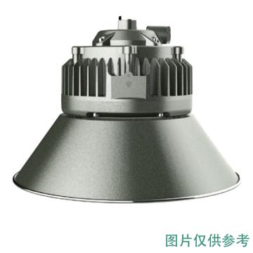 智圣谱 LED高顶灯不含吊杆 ZS-HG610，200W，吊杆式安装