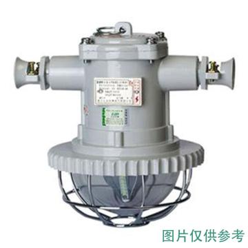 正安防爆 LED巷道灯煤安号MAH100146 正安DGS15/127L（A）
