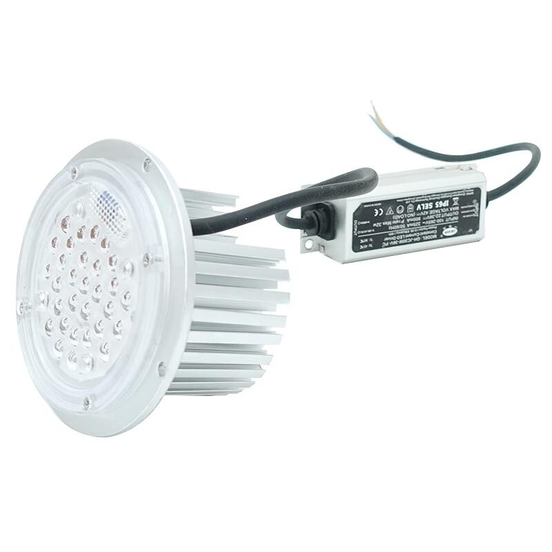 好工邦 LED圆形模组光源 庭院景观灯玉兰灯 100mm30w光源+驱动-暖黄光2700-3000k