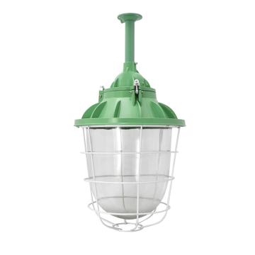 爱迪普森 LED高亮防爆灯250型配50W白光灯泡，E27，IP65，47×21cm，灯笼型三防 ADFB-80