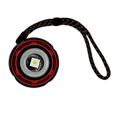 丹琥泰 电筒30W 手电筒(计价单位：个)黑色 DHT-SDT07