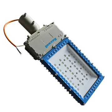 Raxwell 路灯路灯式，80W，颜色可定制 RLBF2011