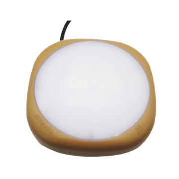 森本 免维护节能防爆吸顶灯，24W，白光 FGV1219-LED24