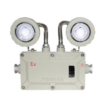 冠奕达 防爆应急灯 GYDBCJ，2*3W
