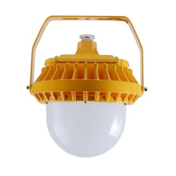 南通中跃 防爆平台灯白光 ZY-NT8250，50W