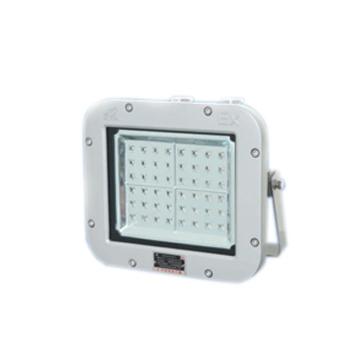 WAROM/华荣 隔爆型LED防爆泛光灯80W，白光，壁装 GCD615-XL80(升级为RLEEXL615-XL80)