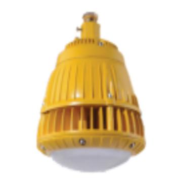 金达 LED免维护防爆灯50W，白光，管吊式安装，含防爆接线盒，含0.3米吊杆 KD-FBD-001D