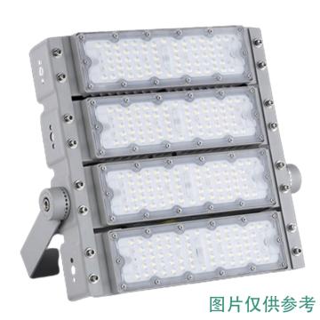 普瑞斯 LED隧道投光灯白光 PS24L-300W