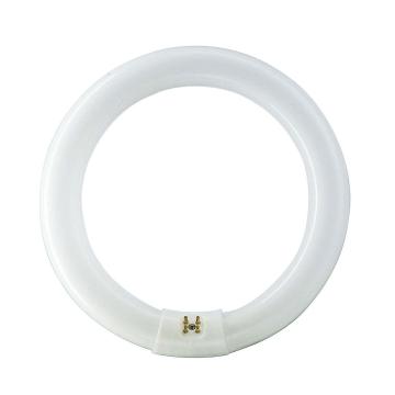 PHILIPS/飞利浦 T8普通环形荧光灯管 TLE 32W/54 765 白光