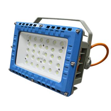 Raxwell 泛光灯支架式，100W，颜色可定制 RLBF2022