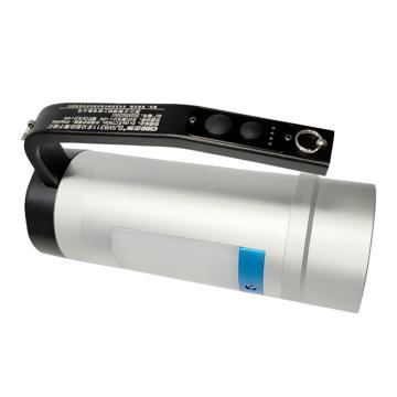正辉 防爆手提灯DC22.2V，银色 BJW8311 2×12W