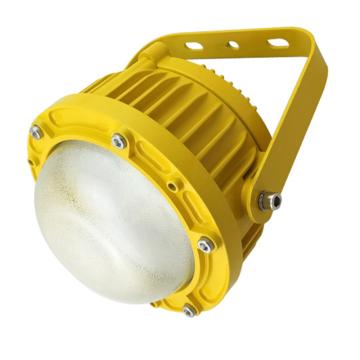 奇辰 防爆LED照明灯IP66，白光，Φ176×264mm QC-FB001-A/L40W