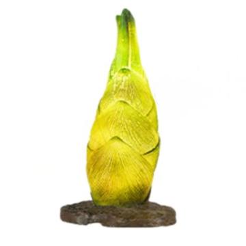 功成狮 发光熊猫竹笋景观灯 HFFGXMJGD-02 小号 140×175×300mm 接电款 个 GOHF0911
