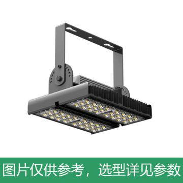 永鑫瑞 LED投光灯 隧道灯100W 白光，吸顶式 YXR-TL-100W-B-HS